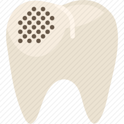 <em>前臼齿</em>图标