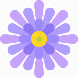 紫菀图标