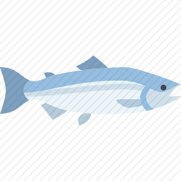 鲑鱼图标