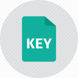 <em>key</em>图标