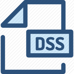DSS图标