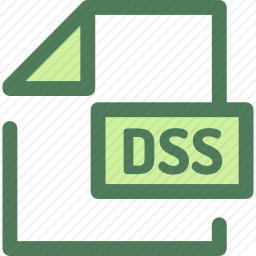 <em>DSS</em>图标