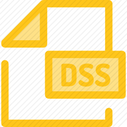 DSS图标