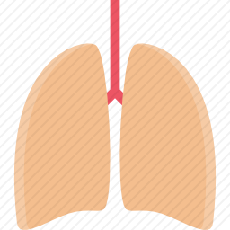 肺图标