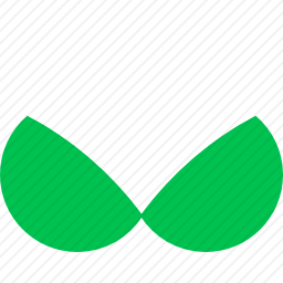 胸罩图标