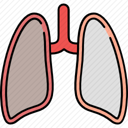 肺图标