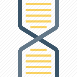 DNA图标