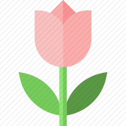 玫瑰图标