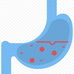 胃图标