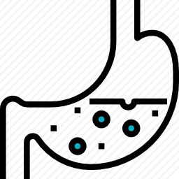 胃图标