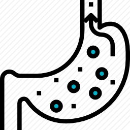 胃图标