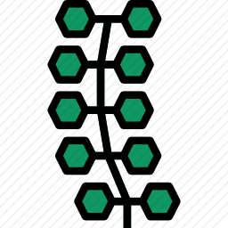 海藻图标