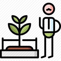 植物学图标