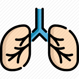 肺图标