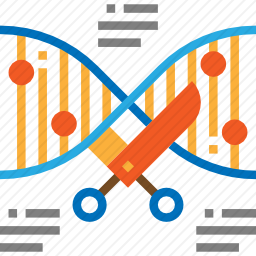 DNA图标