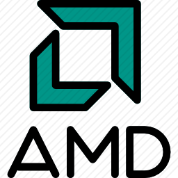 <em>AMD</em>图标