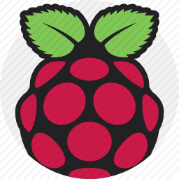 Raspberry pi图标