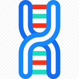 DNA图标