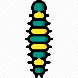 毛毛虫图标