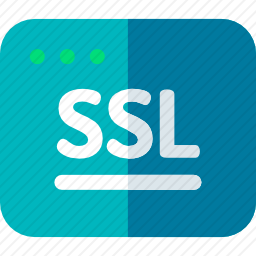 SSL图标