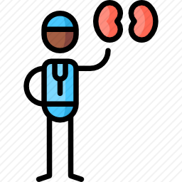 肾病学家图标