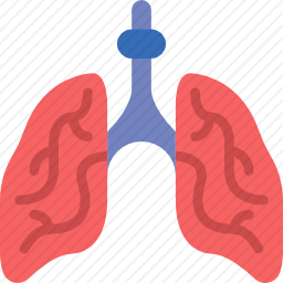 肺图标