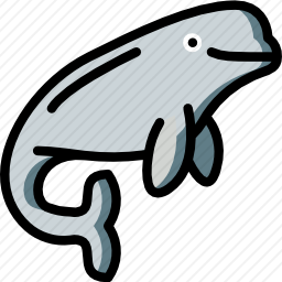 白鲸图标