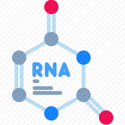 RNA图标