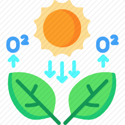 光合作用图标