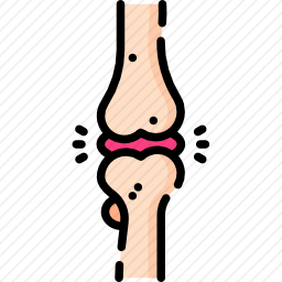 <em>关节</em>图标