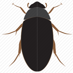 地面甲虫图标