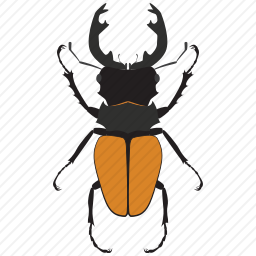 锹甲虫图标