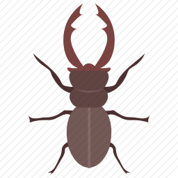 鹿甲虫图标