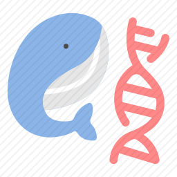 鲸鱼DNA图标