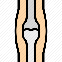 <em>骨质疏松症</em>图标