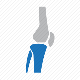 腿部关节图标