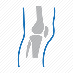 腿部关节图标