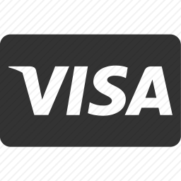 维萨信用卡图标