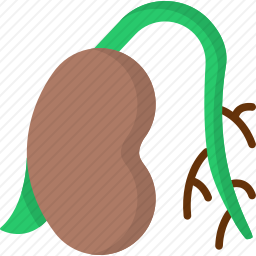 种子图标