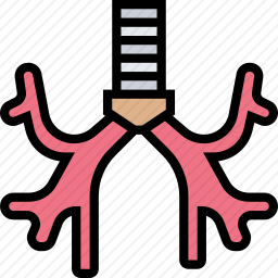 支气管图标