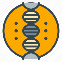<em>DNA</em>图标