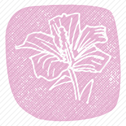 花朵图标