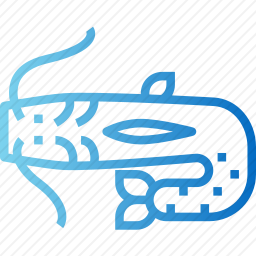 <em>鲶鱼</em>图标