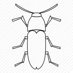 蟑螂图标