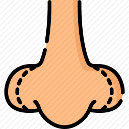 面部整形图标