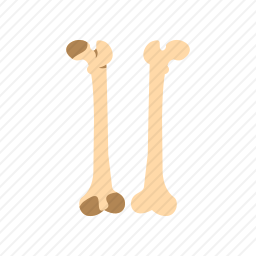 骨头图标