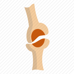 骨头图标