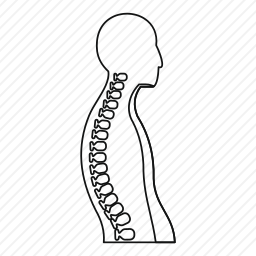 脊柱图标