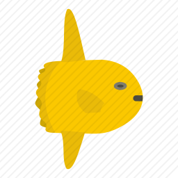 鱼头图标