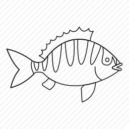 条纹豆娘鱼图标